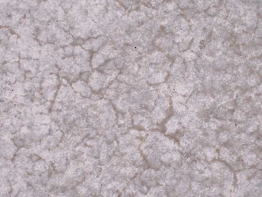 weathererd concrete slab; photo