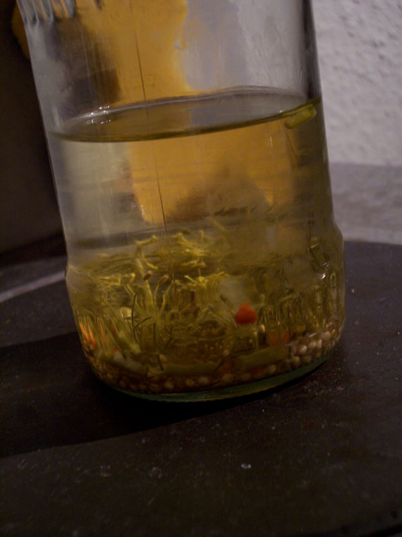 vinegar, herbs, no gherkin in a glass jar; photo