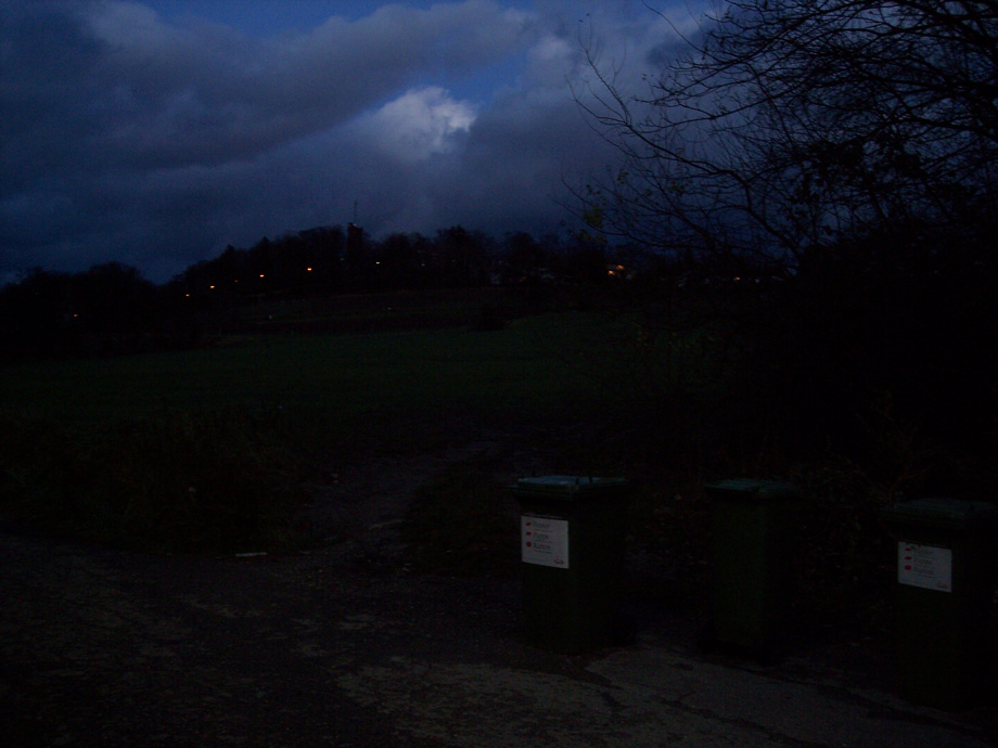 Paper recycling bins at dusk on the hillside of Freiburg (Lorettoberg); photo