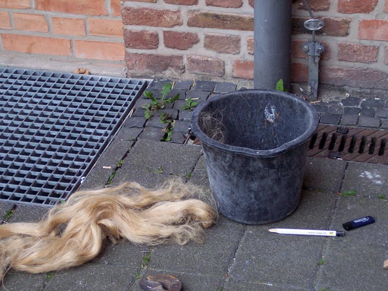 Rapunzel ist tot | Das Haar des Rapunzel - temporäre Installation im Hof der Adlerwerke Frankfurt · Deutsche Bahn; Foto